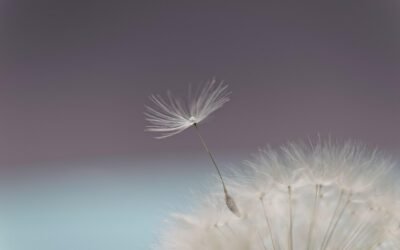 What Hypnosis Really Feels Like (And Why You’re Always in Control)